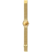 Watch Swatch Woman in Steel YSG167M - YSG167M